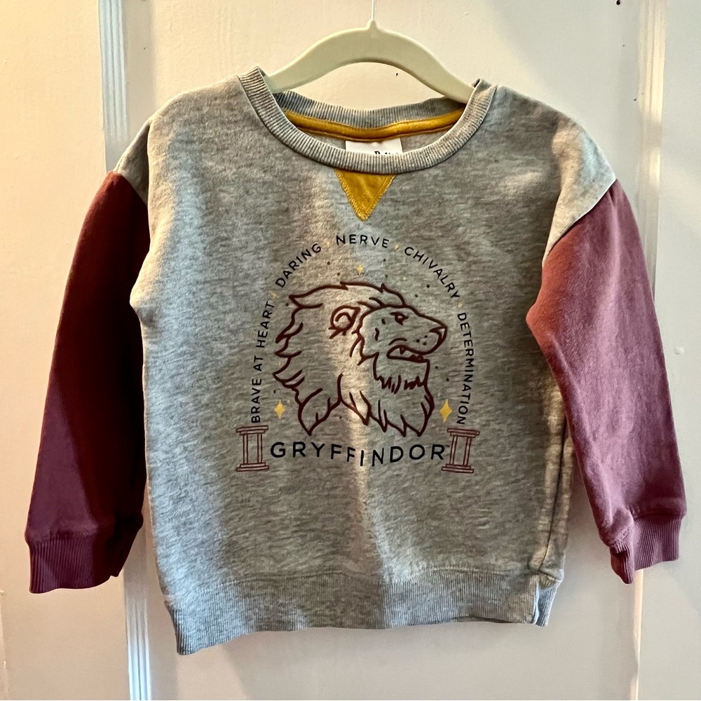 3 for $10 🦋 Harry Potter Gryffindor Toddler Sweatshirt